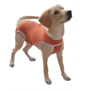 ROPA QUIRURGICA PARA MASCOTAS